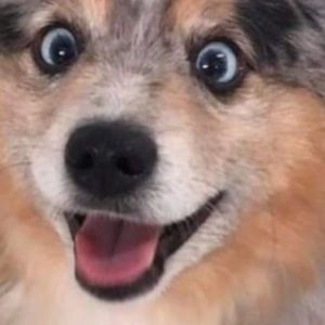 Meet your Posher, Brooklyn